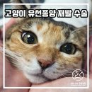 연지 동물병원 이미지