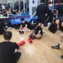 전일복싱클럽(진월관) | 금호동 쌍촌동복싱 (전일복싱상무관)