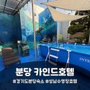 판교 카인드 관광호텔-KYND | [분당] 주말에 조카들과 다녀온 경기도 분당 숙소, 성남 수영장 호텔 '카인드호텔' 찐 후기