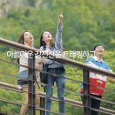 힐링 컴퍼니 네이버블로그