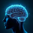 바로 피트니스 이미지