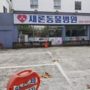 새론동물병원 이미지