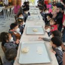 피노키오유아스쿨어린이집 이미지