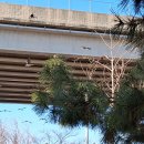 까투렴공원 이미지