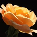 드라이브인M호텔 | 전라북도 김제시 드라이브인M호텔, 가격, 리뷰, 후기