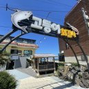 고등어회결사 이미지