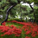 중리공원 이미지