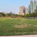 보라매 2호(어린이놀이터) 이미지