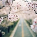 코어스튜디오 이미지