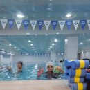 팀식스아쿠아키즈 이미지