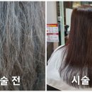 모완10 이미지