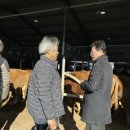 장수축산 이미지