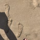 저의 방학은요