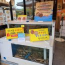 황리단길 경주대게닭강점 평일오후 포장후기 🦀