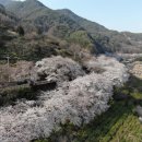 화개장터 이미지