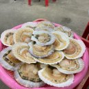 회밀리가떴다 | 속초해수욕장 회밀리가떴다 조개구이 먹어 본 후기