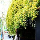 중남부 수도사업소 이미지