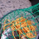 대림민박 이미지