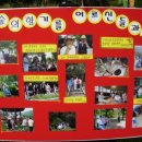 숲생태유치원 이미지