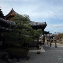 봉황당 | 교토 우지 여행｜일본 10엔 동전 속 그곳! 세계문화유산 뵤도인 봉황당 관람 후기