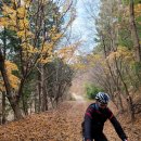 (주)정세 제일타이어 광산지점 | [담양군 대전면, 수북면, 월산면] 용흥사, 삼인산, 병풍산, 도마산, 용구산, 불태산 임도 라이딩 후기