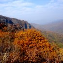 금성산성 이미지