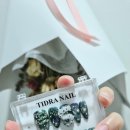에프터네일(AFTER NAIL) | [티드라네일] 문어 다리를 연상케 하는 몽환적인 감성, 'Octo Veil' 수제네일팁 솔직 후기