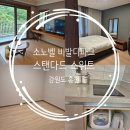 고고당구장 | 아이랑 소노벨 비발디파크 1박2일 / 타워B 스탠다드 스위트 4인가족 후기 / 소노벨? 소노캄? 소노펠리체?