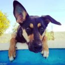 영웅주유소 이미지