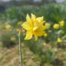 문화산책코스 | 보성 보향다원 후기｜녹차밭 산책과 차문화 체험 티앤디저트 코스