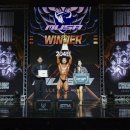 시즌스토리 네이버블로그