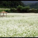 세명재활의학병원 이미지