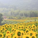 [급매] 별장같은 함안 전원주택 매매 합니다 이미지