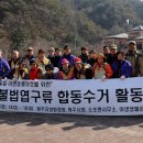 구룡지구 Daum카페