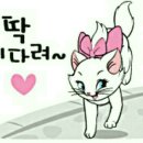 냥이조아 이미지