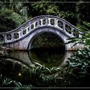 ........................................ 이미지