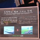 순천만 숲6 이미지