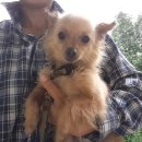 희준농장 이미지