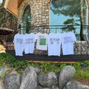 강릉애 진심 이미지