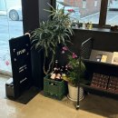 Voice PC & Cafe | [청주맛집]스터프, 운리단길 힙한 카페 &amp; 칵테일바 솔직후기