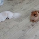 미호유치원 이미지