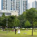 공항교강변공원 이미지