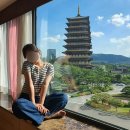 더케이호텔경주 | 경주 숙소 추천 더케이호텔 경주 후기 | 경주타워 뷰 한옥식 객실