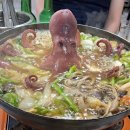 문어시대 이미지