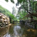 봉미산 계곡 예당 네이버블로그
