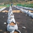 병규농장 이미지