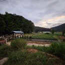 도현농장 이미지