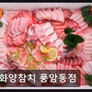화양참치 - 서구 풍암운리로 16 | 광주 서구 일식당 화양참치 풍암동점 가성비와 신선함을 함께 느껴요