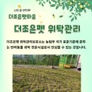 자연속의 펫 이미지