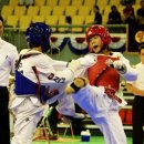 태백태권도 이미지